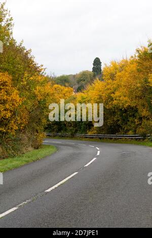 Una strada di campagna in autunno, Warwickshire, Regno Unito Foto Stock