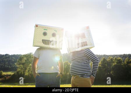 Fratelli con scatola di cartone sulla faccia in piedi in prato Foto Stock