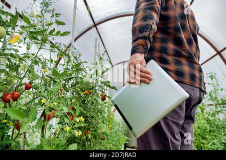 Ambientalista che tiene un tablet digitale mentre esamina l'impianto di Greenhouse Foto Stock