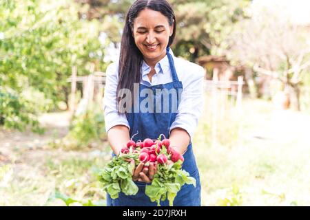 Donna felice che mostra appena raccolto ravanelli organici dal giardino Foto Stock