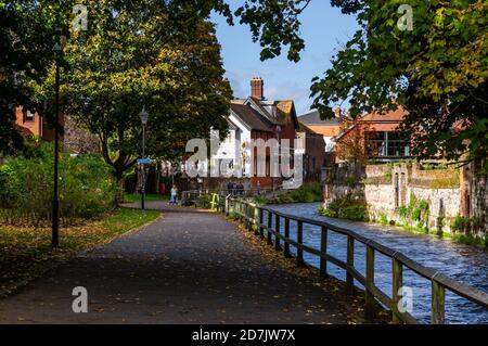 Una scena autunnale lungo le rive del fiume Itchen a Winchester, Hampshire, Inghilterra. Foto Stock