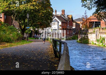 Una scena autunnale lungo le rive del fiume Itchen a Winchester, Hampshire, Inghilterra. Foto Stock