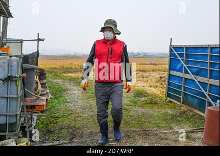 Haemi, Corea del Sud. 22 ottobre 2020. Un agricoltore cammina nella sua fattoria chiusa di carne per cani a Haemi, Corea del Sud giovedì 22 ottobre 2020. La carne di cane ha rapidamente perso popolarità negli ultimi anni in Corea del Sud. Foto di Thomas Maresca/UPI Credit: UPI/Alamy Live News Foto Stock