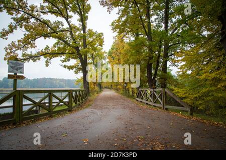 Vicolo in autunno. Sudomer, Repubblica Ceca, Europa Foto Stock