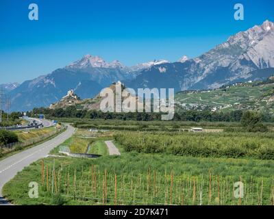 Vista sui vigneti ai castelli di Sierre e Sion nella valle del Rodano, autostrada A9 del Rodano a sinistra, Vallese, Svizzera. Foto Stock