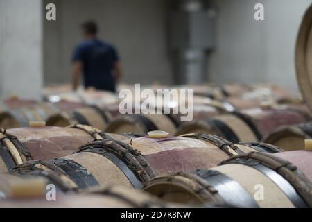 Un enologo sullo sfondo di una cantina piena di botti di legno Foto Stock