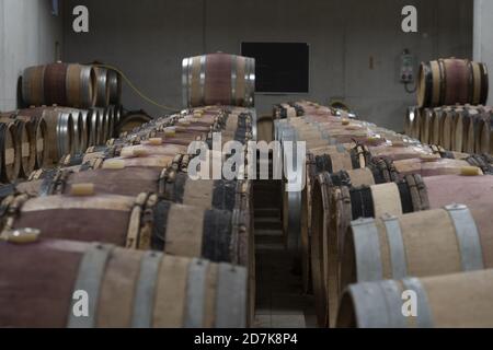 Diverse file di botti di vino in una cantina francese meridionale Foto Stock