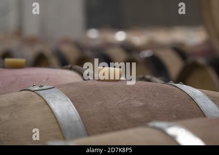 La gomma ha bung su un barile di vino di legno in un nuovo cantina costruita Foto Stock