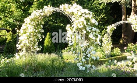 Pergola coperta di fiori in un giardino inglese Foto Stock