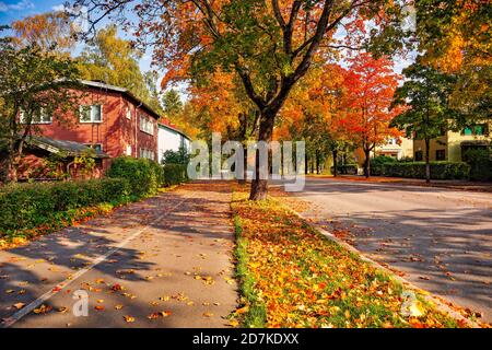 Una strada cittadina con casa di legno rosso. Città strada con alberi in autunno stagione. Foglie cadute su una strada. Luminosa e colorata vista sulle foglie autunnali della città. Foto Stock