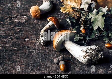 Composizione autunnale con funghi porcini, ghiande e foglie di quercia su sfondo di vecchio legno scuro Foto Stock