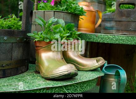 Vaso di fiori fatto a mano da vecchi stivali in gomma nel giardino estivo. Eco concetto Foto Stock