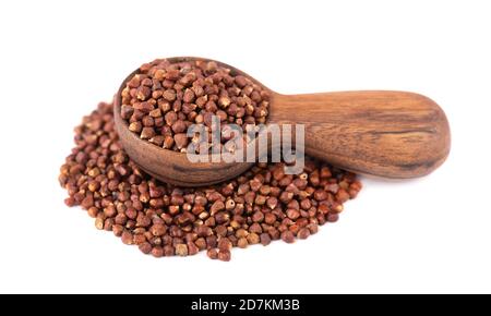 Grani di pepe di Guinea in cucchiaio di legno, isolati su sfondo bianco. Melegeta, pepe di alligatore o mahlab. Granelli di paradiso. Foto Stock