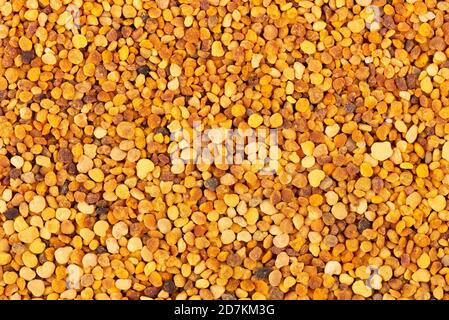 Fiore polline grani sfondo. Mucchio di polline di api o perga. Foto Stock