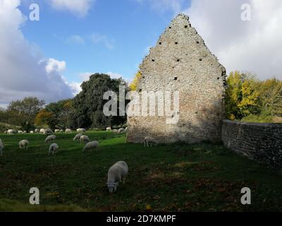 Winchelsea, East Sussex, UK - 8 ottobre 2020: Muro rimanente del St John's Hospital Almshouse per i poveri - 15 ° secolo a Pewis Marsh. Solo 1 muro Foto Stock