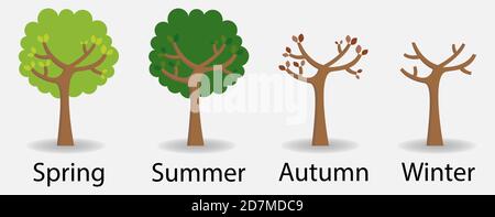 Lo stesso albero nelle quattro stagioni con testo Illustrazione Vettoriale
