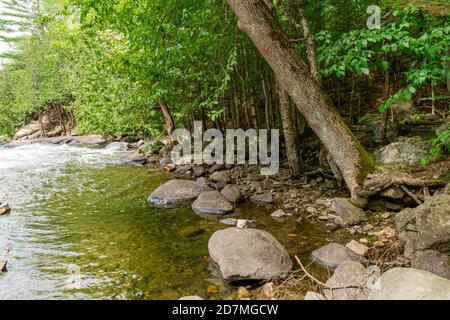 Whitewater Preserve Minden Hills Algonquin Highlands Ontario Canada in estate Foto Stock