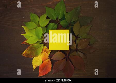 Le foglie d'autunno passano dal verde al rosso con il quadrato giallo su sfondo di legno. Cambiamento di concetto di stagione. Bock up Foto Stock