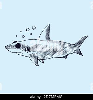 Personaggio cartoon di squalo con bolle, schizzo di doodle disegnato a mano, illustrazione del contorno isolata Foto Stock