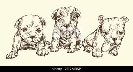 Tre cuccioli seduti, disegno a mano doodle schizzo, vettore isolato illustrazione del contorno Foto Stock