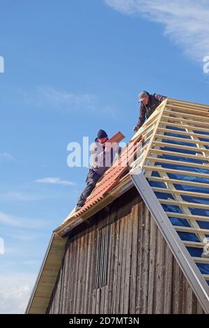 Appaltatori del tetto sul lavoro che ritackling il tetto sul fienile Foto Stock