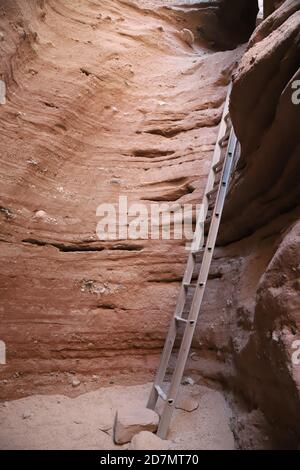 MECCA HILLS, CALIFORNIA, STATI UNITI - 18 ottobre 2020: Una scala aiuta gli escursionisti a salire le pareti ripide di un canyon slot sulla scala Canyon Hike nea Foto Stock