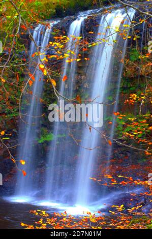 Mozzafiato - cascata - Sereno - Animali al gioco - Energia - Cristallo - non dimentichiamo - ricordo - Soldato soldato soldato soldato - papavero - esterno Foto Stock