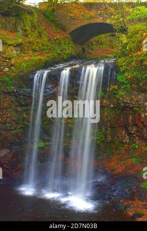 Mozzafiato - cascata - Sereno - Animali al gioco - Energia - Cristallo - non dimentichiamo - ricordo - Soldato soldato soldato soldato - papavero - esterno Foto Stock