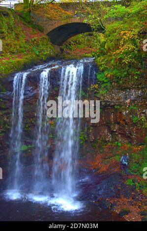 Mozzafiato - cascata - Sereno - Animali al gioco - Energia - Cristallo - non dimentichiamo - ricordo - Soldato soldato soldato soldato - papavero - esterno Foto Stock