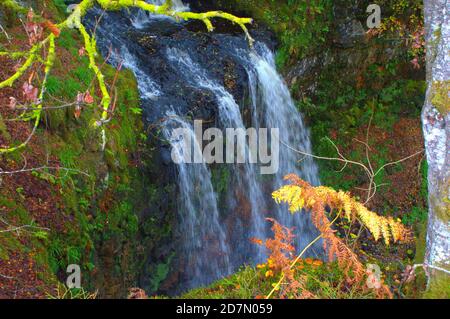 Mozzafiato - cascata - Sereno - Animali al gioco - Energia - Cristallo - non dimentichiamo - ricordo - Soldato soldato soldato soldato - papavero - esterno Foto Stock