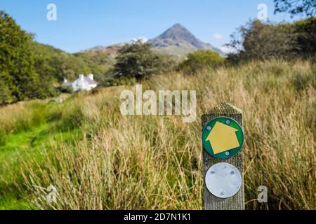 Segnavia segnavia in campagna Snowdonia National Park con Cnicht in distanza. Croesor, Gwynedd, Galles, Regno Unito, Gran Bretagna Foto Stock