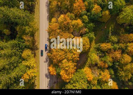 Colori autunnali di alberi autunnali oltre a una strada dritta con due auto in arrivo, fotografia direttamente dall'alto ai tetti dell'auto. Foto Stock