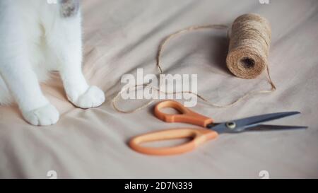 Sul tessuto leggero morbido sono articoli per cucire - corda ruvida di canapa e forbici moderne, e accanto ad esso si trova un gatto con zampe bianche. Hobby. Foto Stock