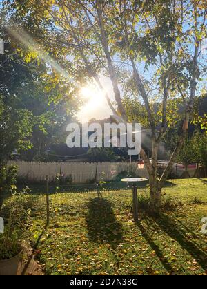 Mattina presto tranquilla luce del sole in cortile residenziale, Pennsylvania, Stati Uniti Foto Stock