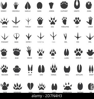 Tracce animali. Impronte di cigno, lama e asino, gatto. OWL, Dog e mouse, colomba e zebra PAW stampa un insieme di vettori isolati. Illustrazione traccia selvaggio, orso e lupo, stampa nero gazzella coccodrillo sentiero Illustrazione Vettoriale