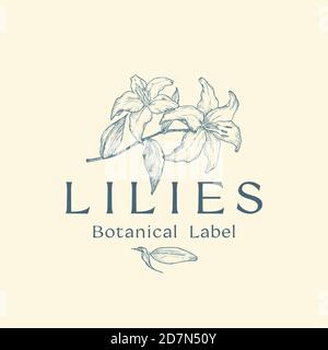 Fiori Abstract Vector Sign, Symbol or Logo Template. Disegno a mano Lilies rami Illustrazione con tipografia di classe. Premium qualità Romantica Illustrazione Vettoriale