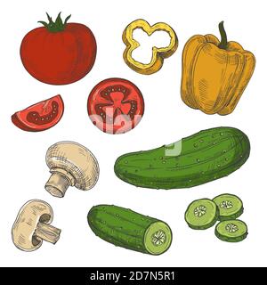 Pomodori, cetrioli, funghi e pepe dolce, isolati su sfondo bianco. Illustrazione di cetriolo e pomodoro, pepe e cipolla Illustrazione Vettoriale