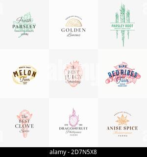 Collezione di simboli vettoriali o modelli di logo di qualità premium per frutta, erbe e spezie. Prezzemolo, melone, fragola, chiodo di chiodo e frutto della Dragonfruit Illustrazione Vettoriale