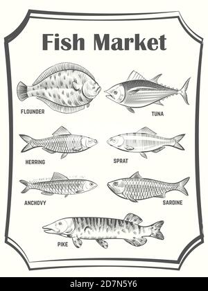 Modello di poster vettoriale diverso disegnato a mano. Banner mercato del pesce. Illustrazione di mercato di pesce, pesce per cucinare Illustrazione Vettoriale