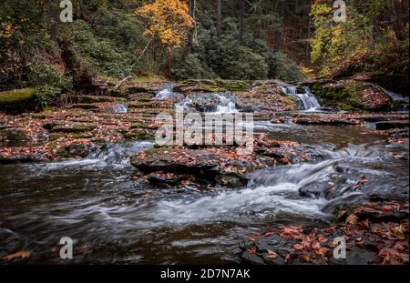 Dingmans Creek Waterfall scorre graziosamente drappeggiato con foglie colorate e. caduta fogliame Foto Stock