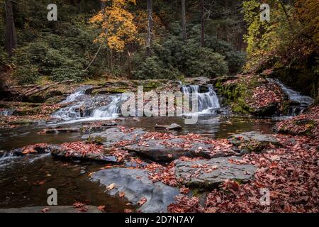 Dingmans Creek Waterfall scorre graziosamente drappeggiato con foglie colorate e. caduta fogliame Foto Stock