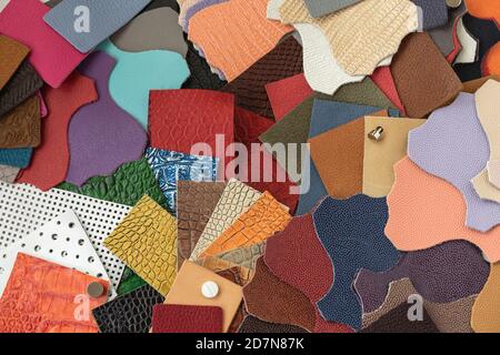 Varietà di campioni di pelle di diverse texture e colori, scelta di colori per la produzione di mobili, accessori di moda Foto Stock