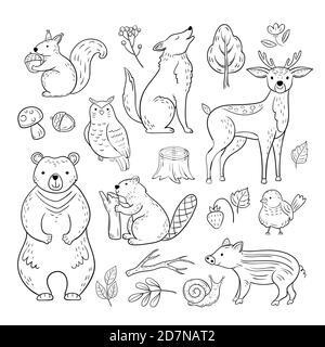 Doodle animali della foresta. Woodland cute baby scoiattolo animale lupo gufo orso cervo lumaca bambini schizzo vettore mano disegnato set. Illustrazione di gufo e scoiattolo, lupo e castoro Illustrazione Vettoriale