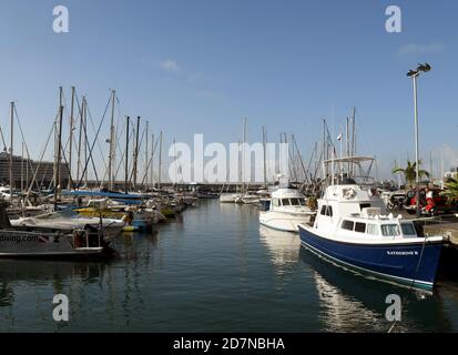 Funchal, Madeira, Portogallo - Settembre 2017: Barche e motovaristi nel porto della città Foto Stock