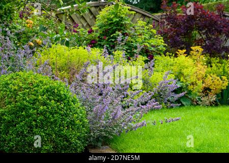 Giardino privato paesaggistico primo piano (design contemporaneo, fiori estivi, piante di confine miste, arbusti, fogliame colorato, prato) - Yorkshire, Inghilterra Regno Unito Foto Stock