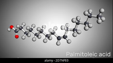 Acido palmitoleico, molecola di palmitoleato. Si tratta di un acido grasso monoinsaturo omega-7. Modello molecolare. Rendering 3D Foto Stock