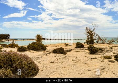 Famosa spiaggia di Elafonisi sulla grecia isola di Creta Foto Stock