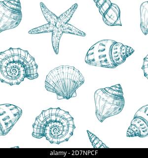 Seashells motivo senza cuciture. Conchiglia mare estate oceano texture. Starfish nautico vettore ricorrente vintage schizzo sfondo. Illustrazione dello sfondo del disegno della conchiglia del mare Illustrazione Vettoriale