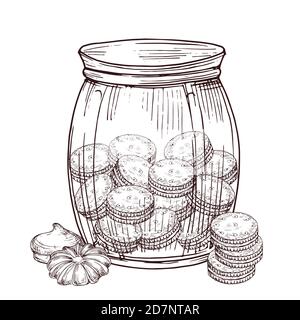 Vaso vettoriale con biscotti e meringa isolati su sfondo bianco. Illustrazione di meringa e dessert, cibo dolce Illustrazione Vettoriale