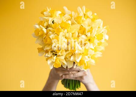 Sfondo giallo e mani maschili con bouquet di narcisi gialli. Il concetto di saluto e di giorno della donna. Foto Stock